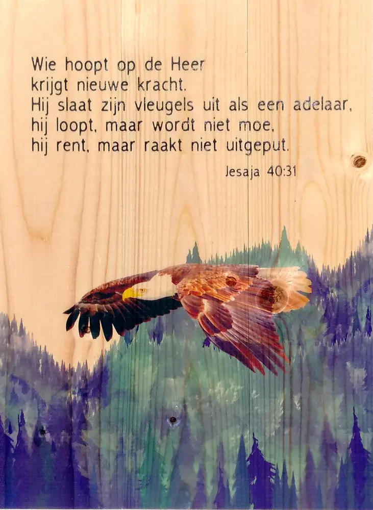 Adelaar Jesaja 40