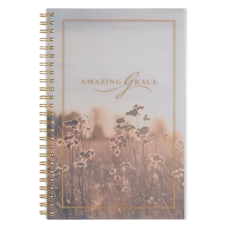 Amazing Grace Is. 53
