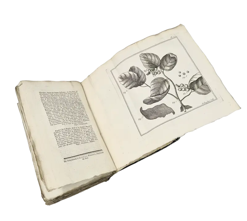 An early scientific survey of Saint-Domingue, with important observations on Taíno and Creole culture
