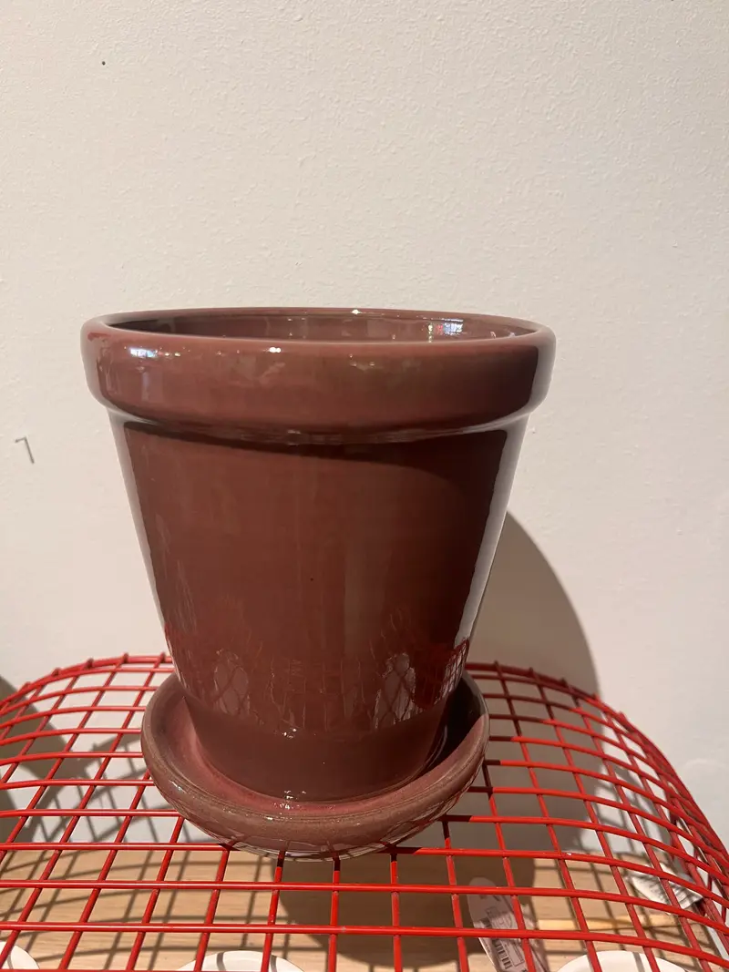 Bloempot purple met vaste schotel