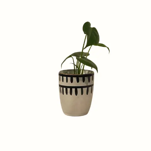 Bloempot wit met zwarte details