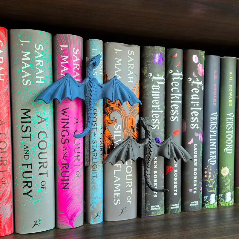 Bookshelf Peekout Sign - Dragon