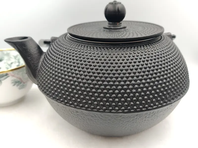 Bredemeijer Jang Black Cast Iron Thee Pot