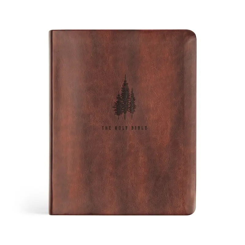 CBS Notetaking Bible