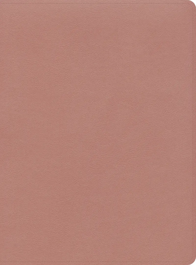 CSB Study Bible-Rose Gold LeatherTouch