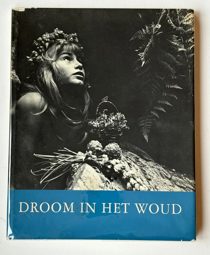 Droom in het woud