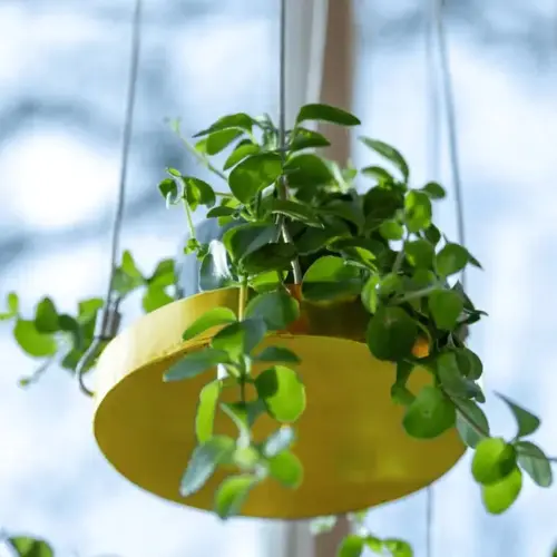 Esschert Design Plantenblad hangend rond S goudkleurig