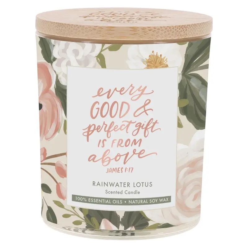 Every Good & Perfect Gift James 1