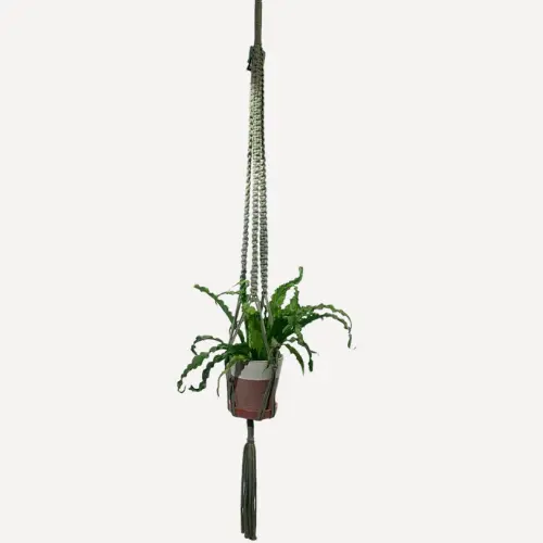 Hanger macramé groen