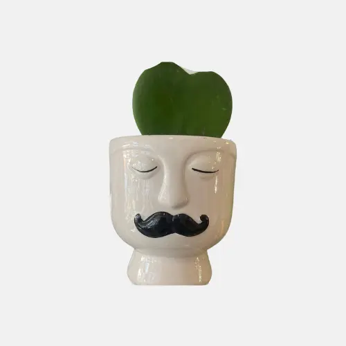 Hangpotje man met snor met magneet