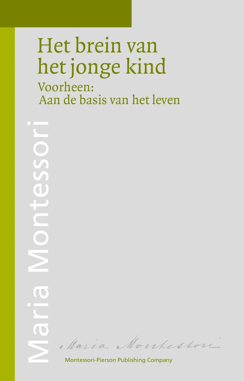 Het brein van het jonge kind