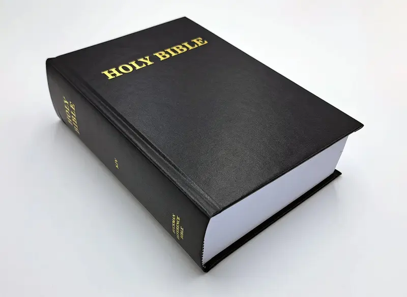 King James Version Reference Bible - normal size hardcover