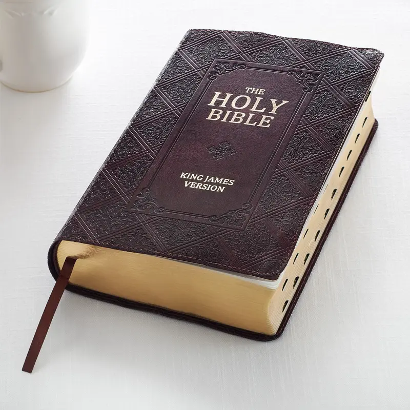 KJV Bible Giant Print Standard-size Faux Leather Dark Brown