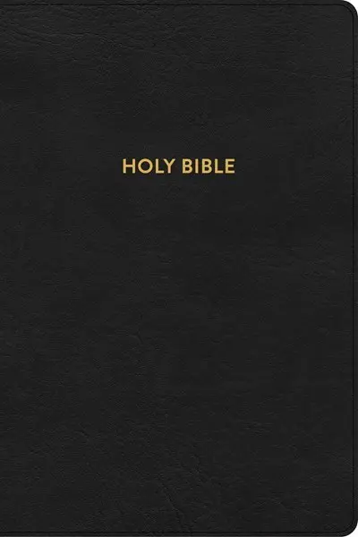 KJV Rainbow Study Bible-Black LeatherTouch