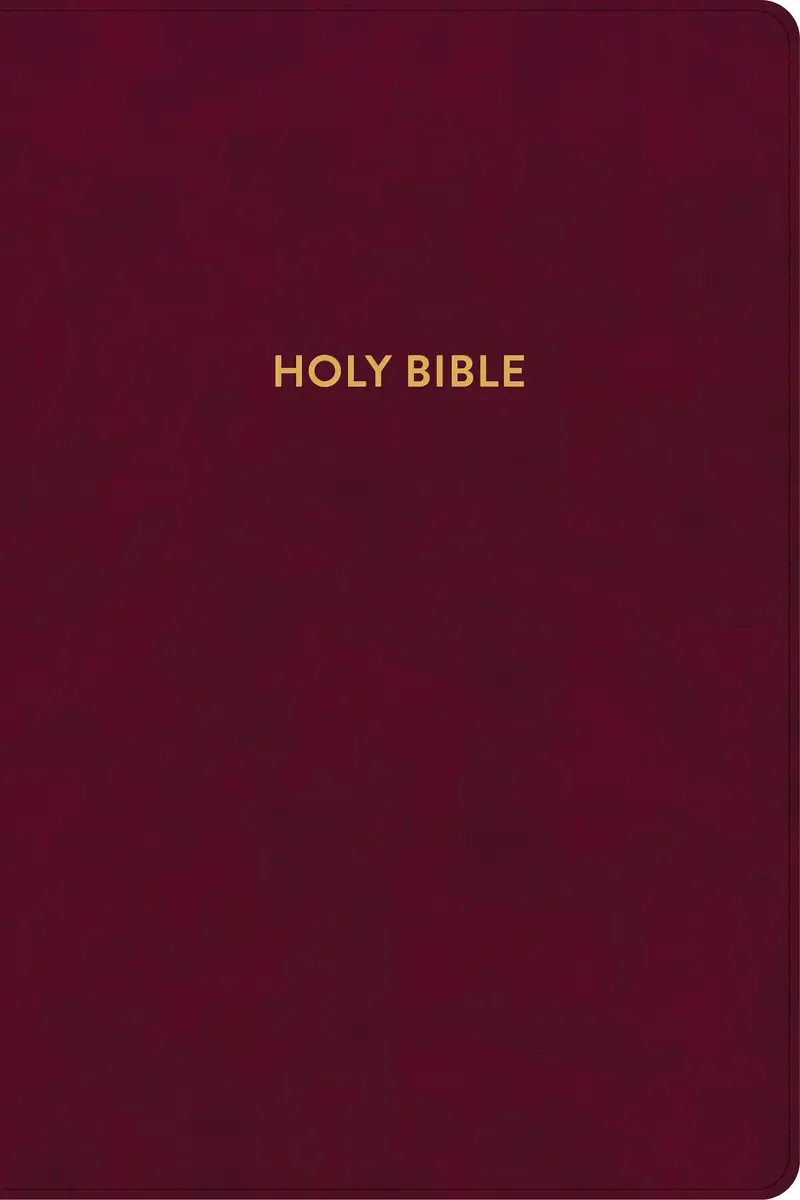KJV Rainbow Study Bible-Burgundy LeatherTouch Indexed