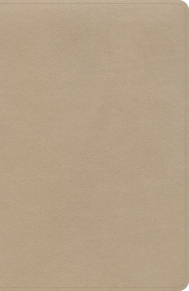 KJV Thinline Bible-Gold LeatherTouch