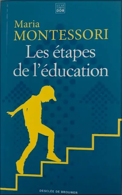 Les étapes de l'éducation