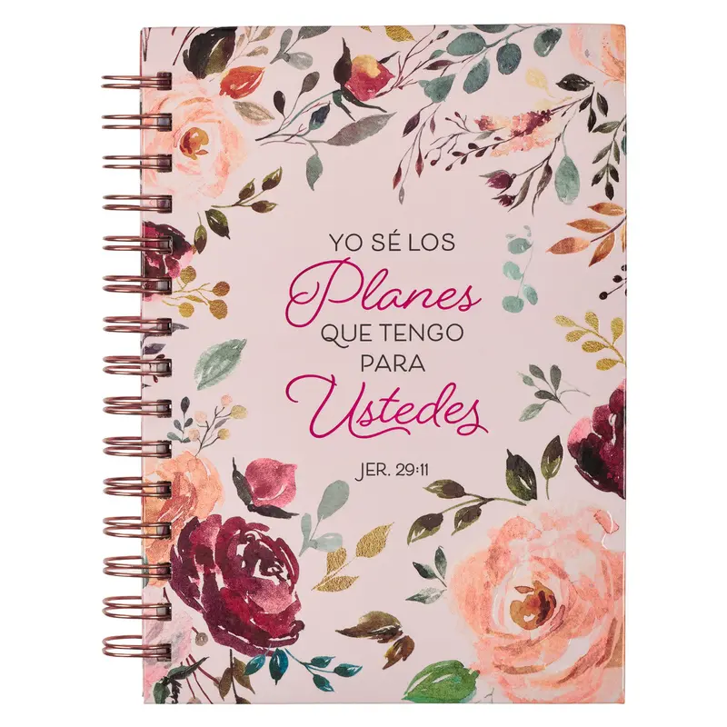Los planes que tengo para ti spanish