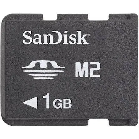 Memory Stick Micro (M2) Geheugenkaart - 1GB