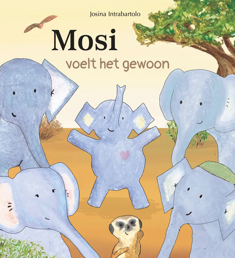 Mosi voelt het gewoon + kaart