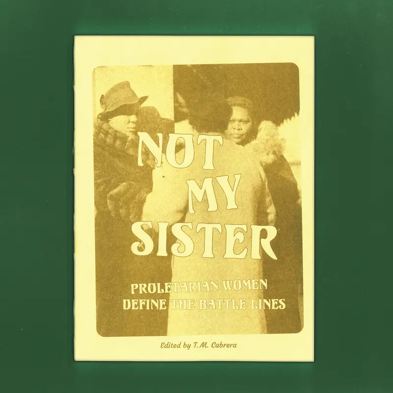 Not My Sister Book