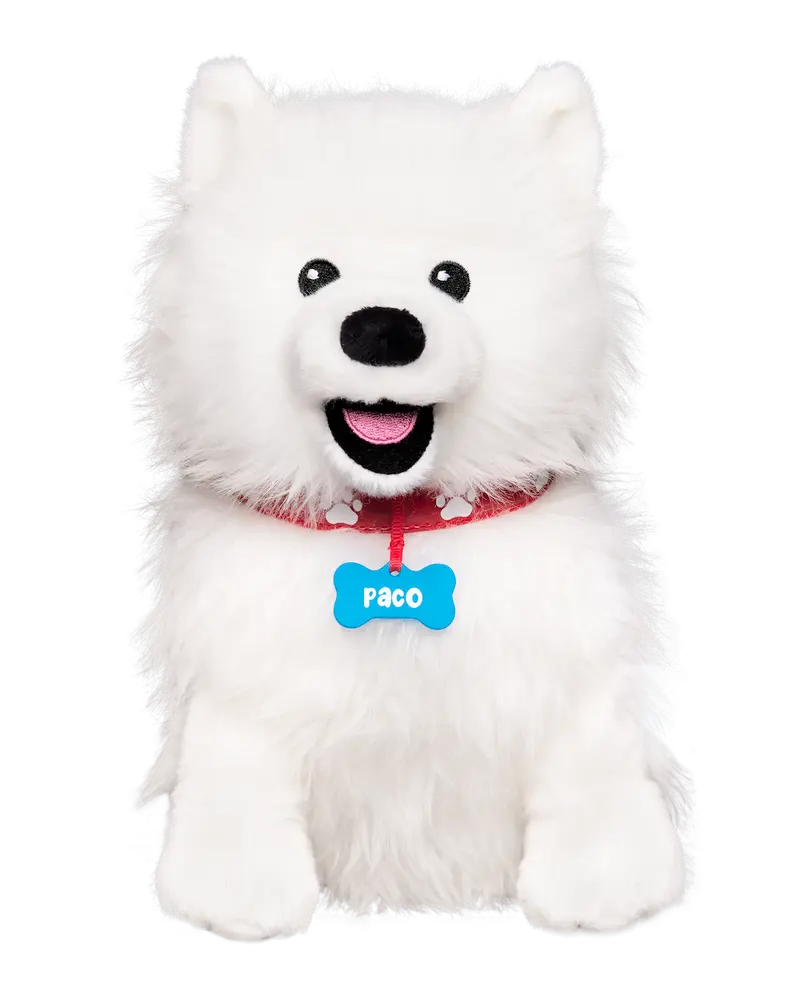 Paco de Knuffel