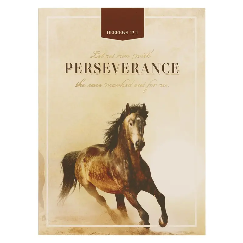 Run with Perseverance Heb. 12