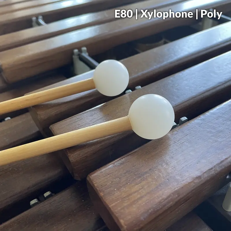 Salyers Etude Series Xylophone