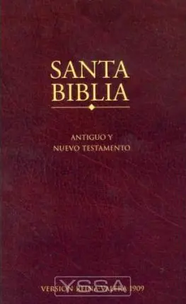 Santa Biblia - paperback