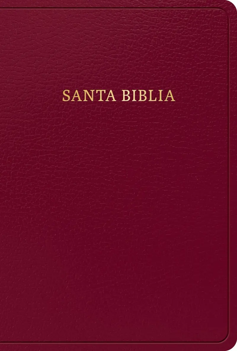 Span-RVR 1960 Hand Size Giant Print Bible (Biblia Letra Grande Tamano Manual)-Burgundy Imitation Leather