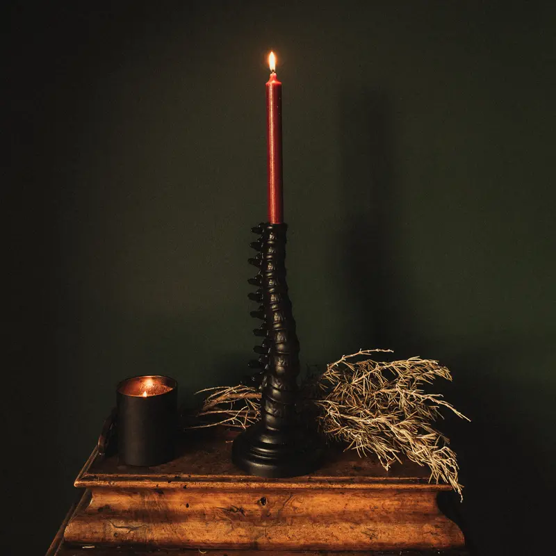 Spine Candlestick Holder
