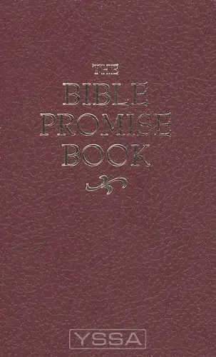 The Bible Promise Book (KJV)