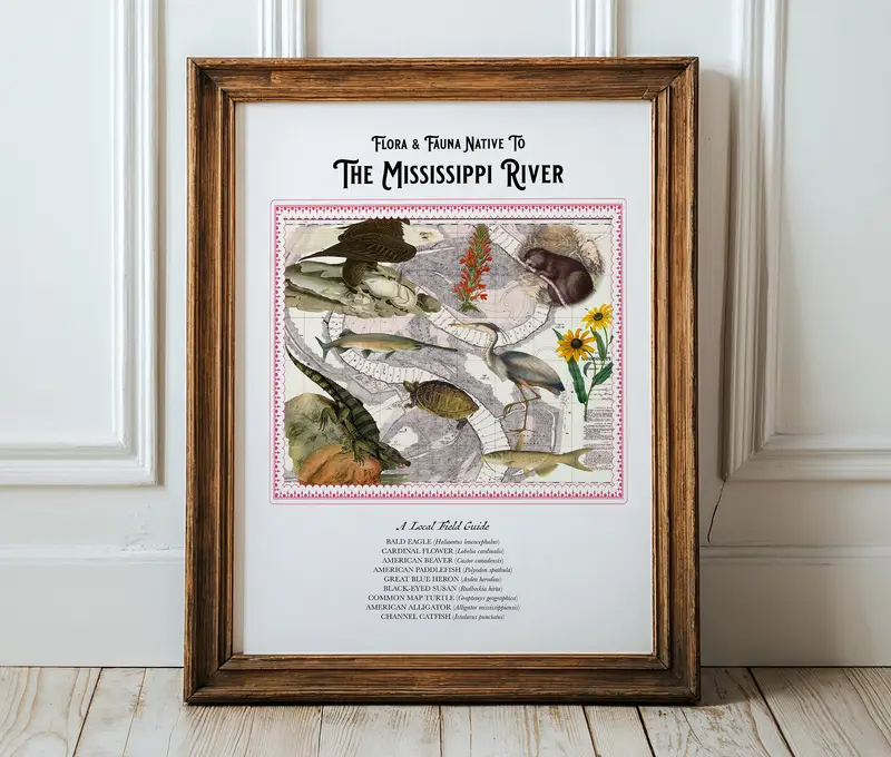 The Mississippi River — Vintage Natural History Collage