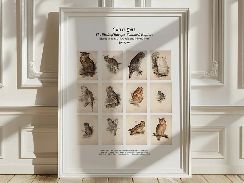 Twelve Owls — A Poster Featuring Vintage Illustrations