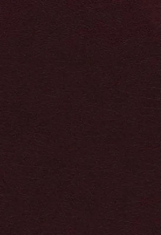 Vines expository bible Burgundy