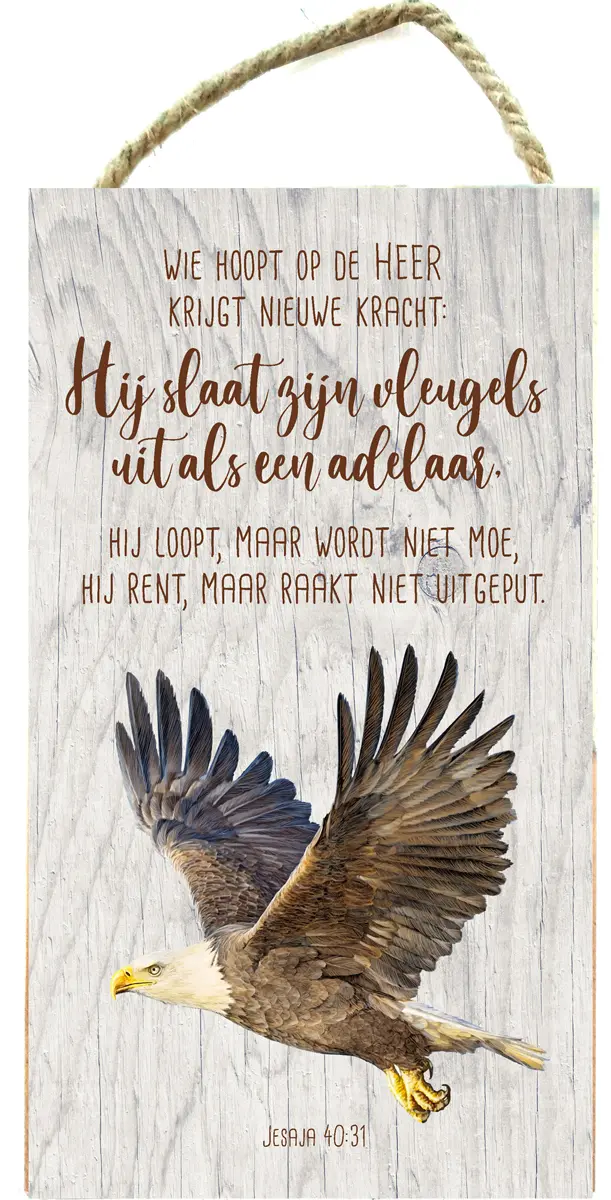 Wie hoopt op de Heer-adelaar Jes 40