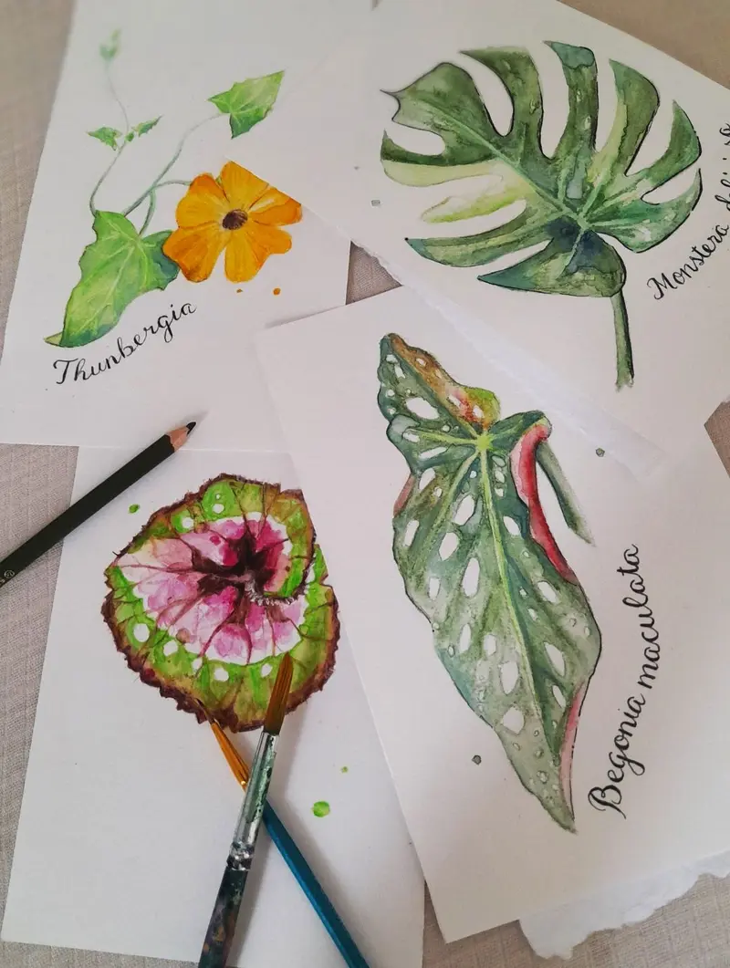 Workshop Botanisch tekenen - dinsdag 20 oktober VOL!